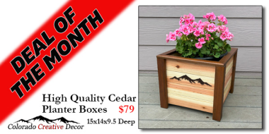 Deal of the Month